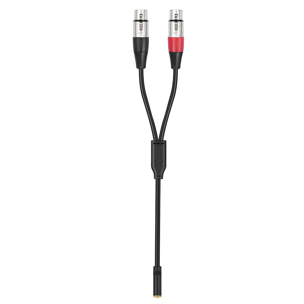 3.5mm 1/8 Inch To Dual XLR Male Stereo Cable for Stereo Mic To L & R