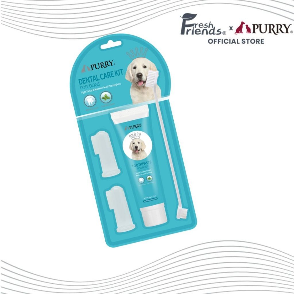 Fresh Friends Purry Mint Flavor Toothpaste and Toothbrush Set for Dogs ...