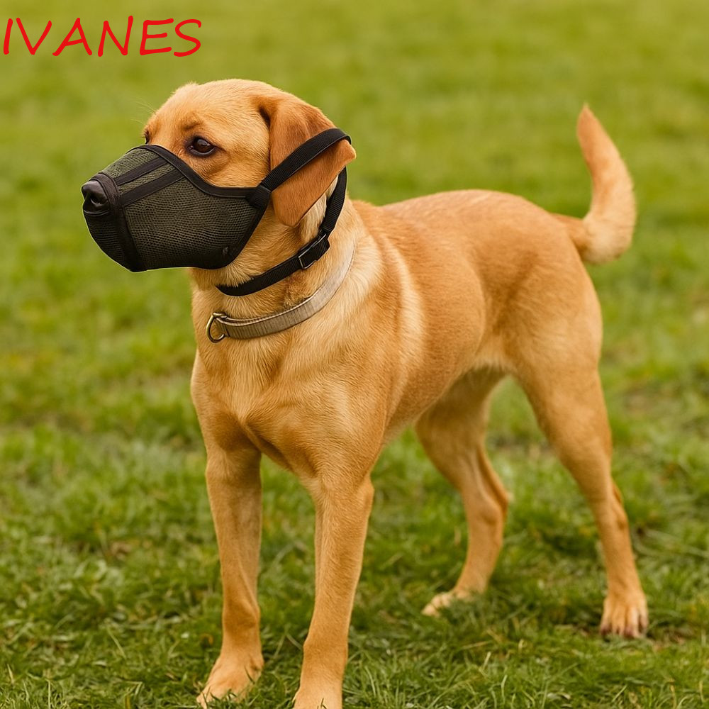 IVANES Dog Muzzle Mask, Breathable Anti-Eating Dog Mesh Mask, Dog ...