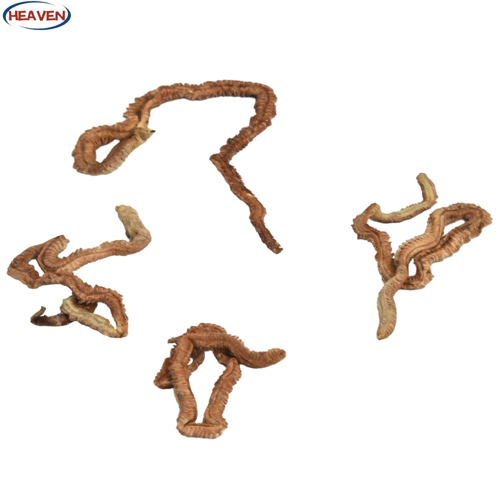 [Heaven 0823] 6/10g Dry Sandworm Live Fishing Lure For Feeder Catfish