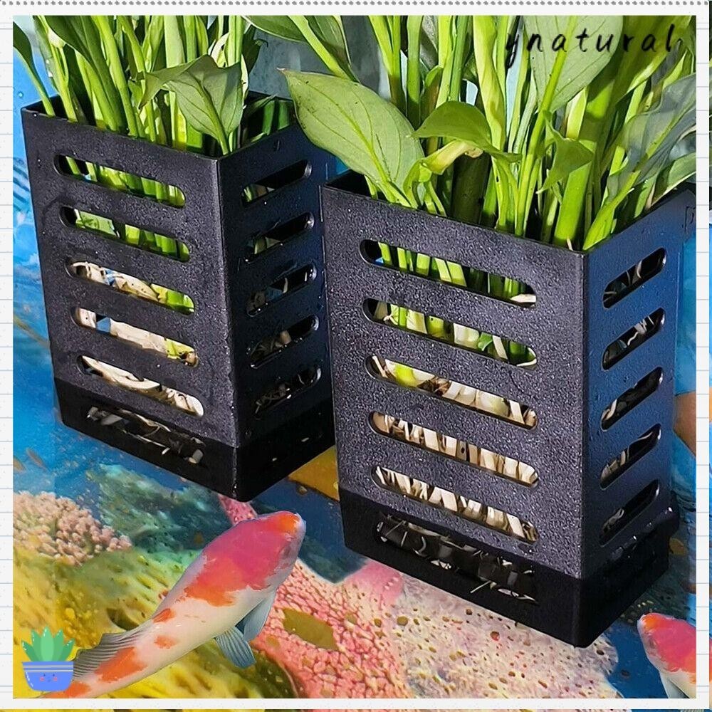YNATURAL Aquarium Plant Holder, Hydroponic Water Plant Landscape Fish ...