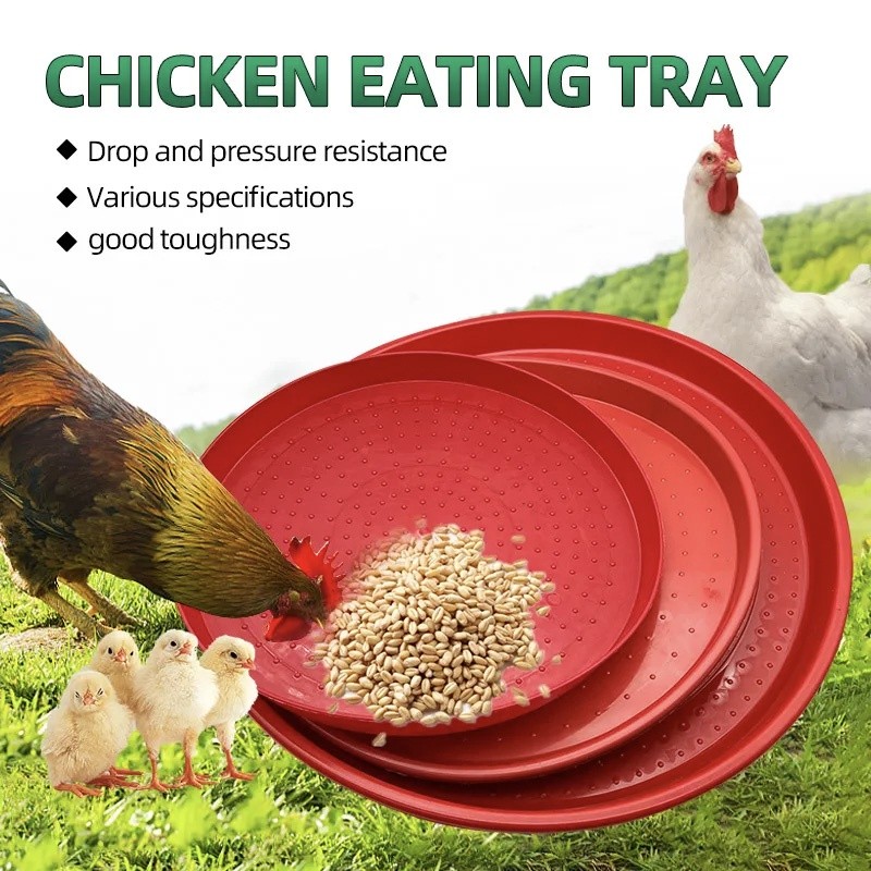 New 30/40cm Small Round Chick Feeder Plate for Chicken Feed Farm ...