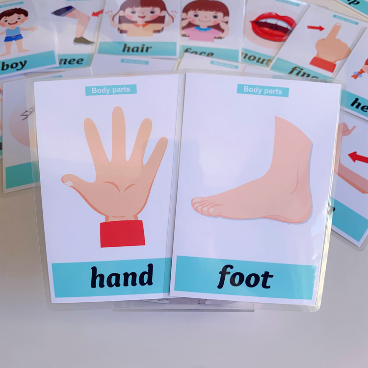 New Version English Card Waterproof Flash Card body body Part Card ...