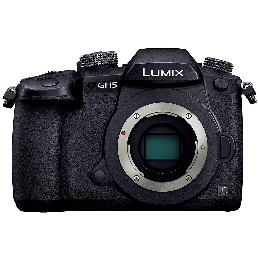lumix gh5　v-logアップデート済み　ストロボセット lumix gh5 v-logアップデート済み ストロボセット Panasonic LUMIX GH5