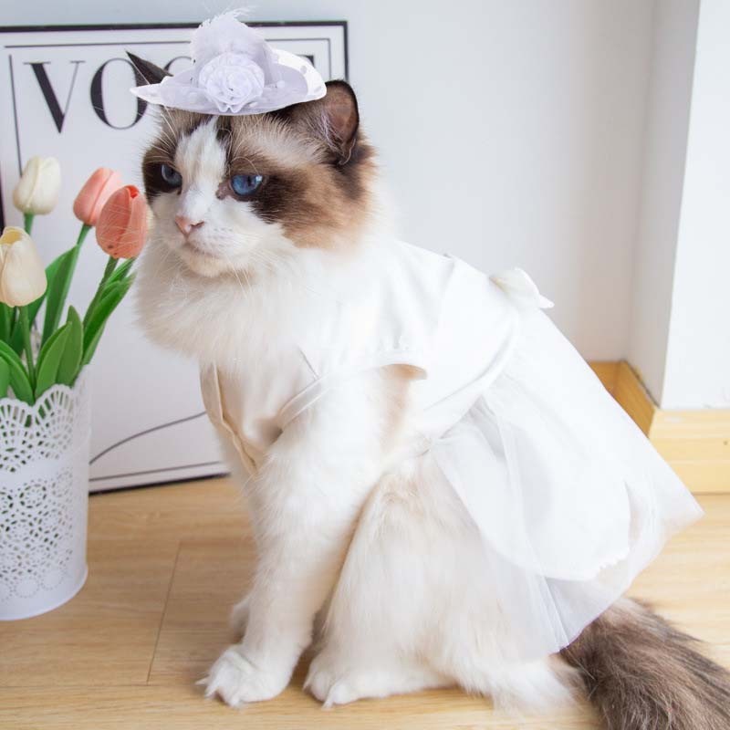 Dog Dress for Shih Tzu Female Pearl Decorat Cat Outfit with Bow Wedding  Princess Dress for Pet Summer Dog Birthday Party Costume