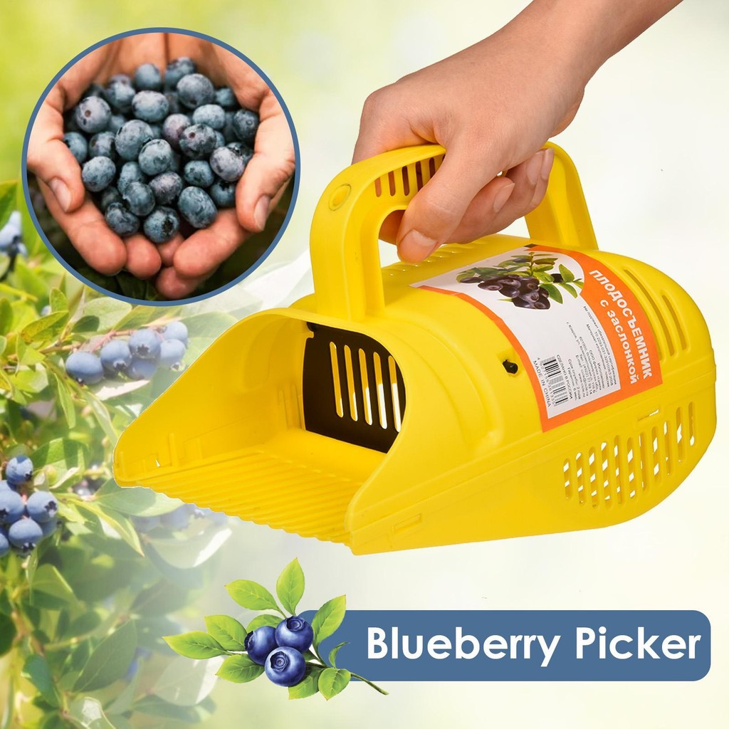Blueberry Picker Berry Picker and Rake Zigzag Design with Ergonomic ...