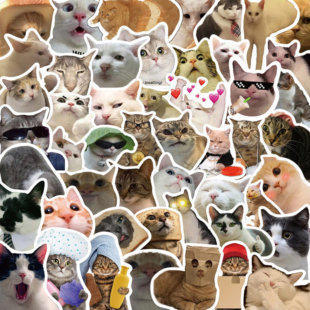 50pcs Cute Kittens Cats MEME Waterproof Stickers For Notebook Laptop ...