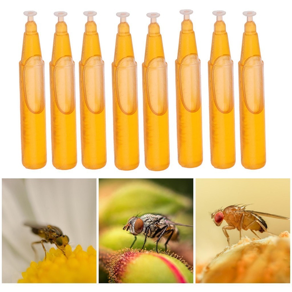 Image showcasing 10Pcs Fruit Fly Attractant 2ml Trap Bait Beekeeping Beehive Tool Fruit ...