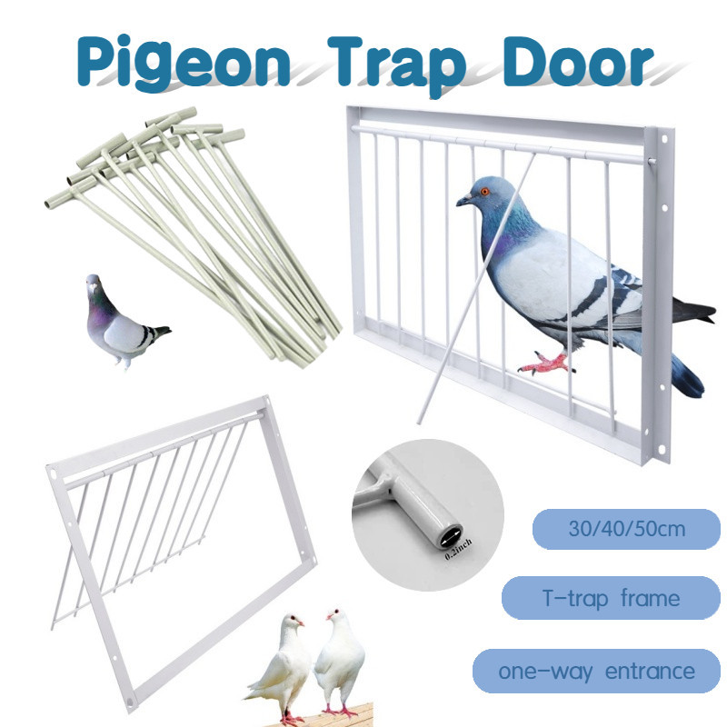 T-trap Pigeon Activities Doors Stainless Pigeon Bird Cage Entrance ...