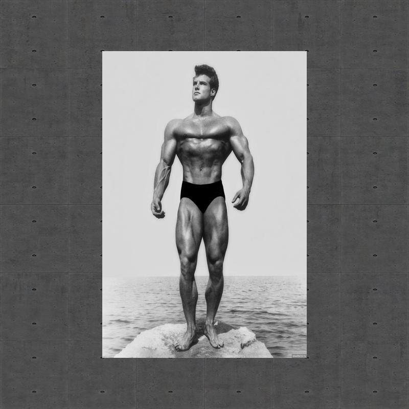 Steve Reeves Poster Print Wall Art Artwork Posters For Wall Steve ...