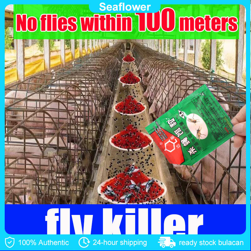 500 flies killed in 1 minute fly killer Powder flies repellent Fly ...