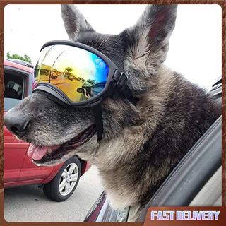 Canine sunglasses hotsell