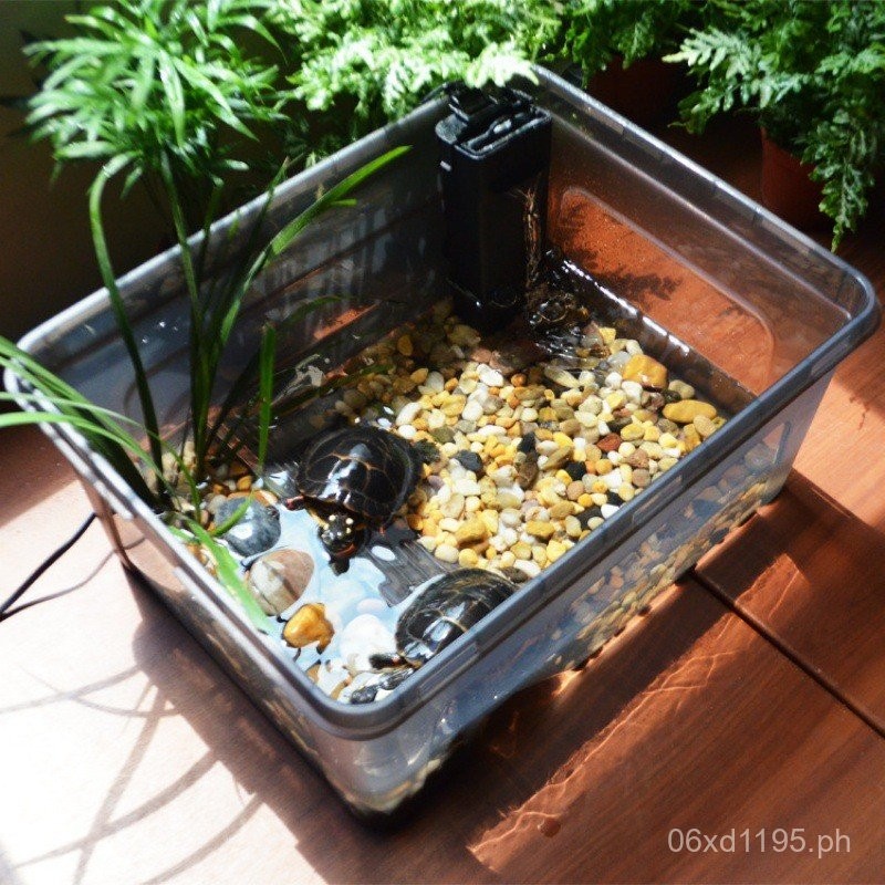 Large Tank Special Turtle Tank Turtle Box Breeding Ecological Breeding ...