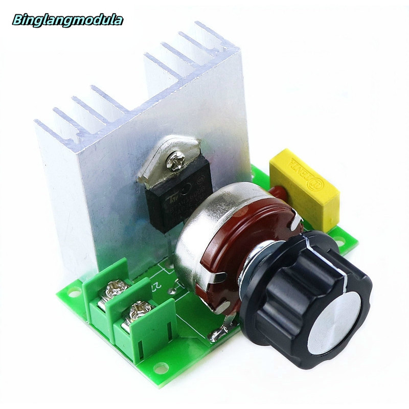 Oumefar AC 0 220V Elektronischer Spannungsregler Motordrehzahlregler 8000W Hochleistungsmotortemperaturregler für Haushaltsgeräte