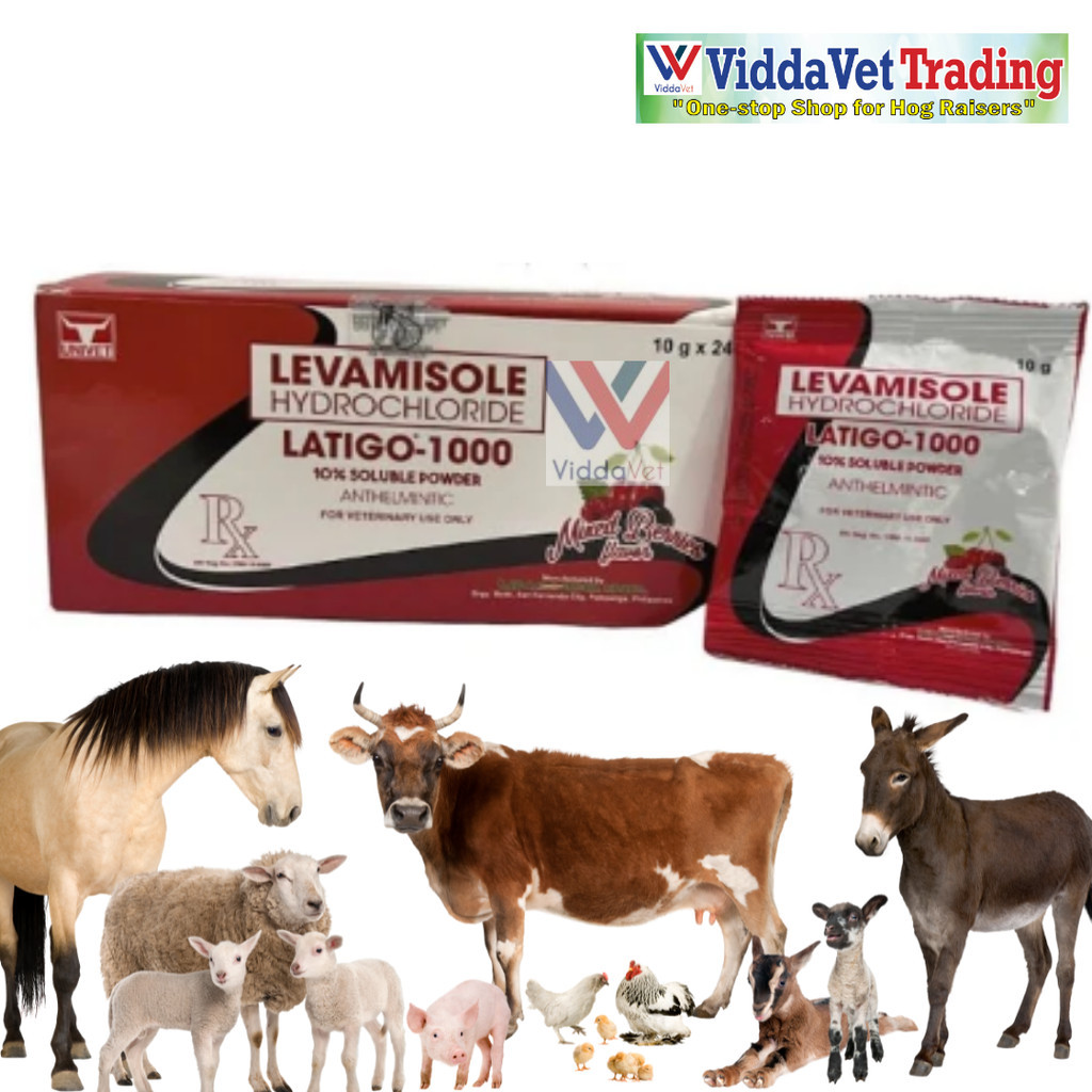 Viddavet Latigo1000 Water Soluble Powder 10grams 1 box 24 pieces ...