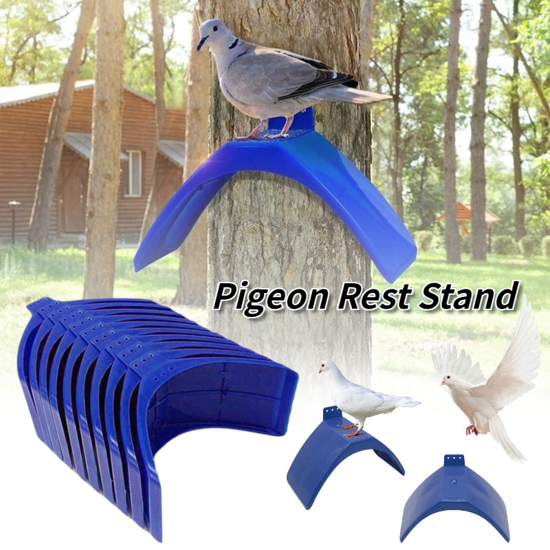 10Pcs Pigeon Rest Stand Frame Grill Dwelling Roost Pigeon Perches Roost ...