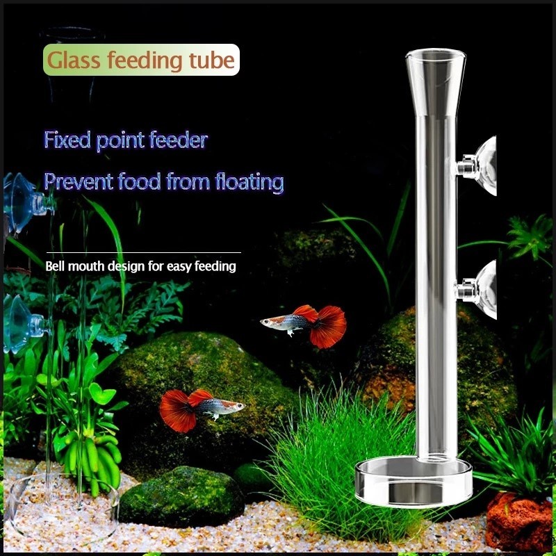 Aquarium Glass Shrimp Feeder Tube Fish Tank Fish Food Feeding Dish ...