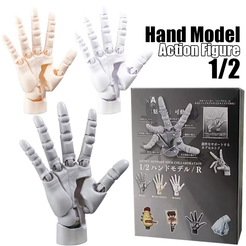 Hand Model 1/2 Artist Support Item Collaboration White Pale orange Grey ...