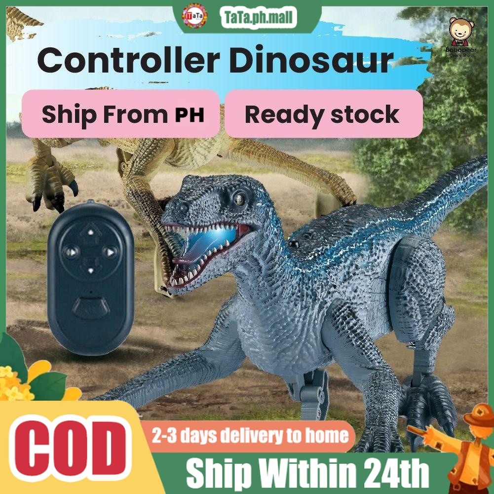 COD Remote Control Walking Dinosaur Sound/Light Simulation Dinosaur ...