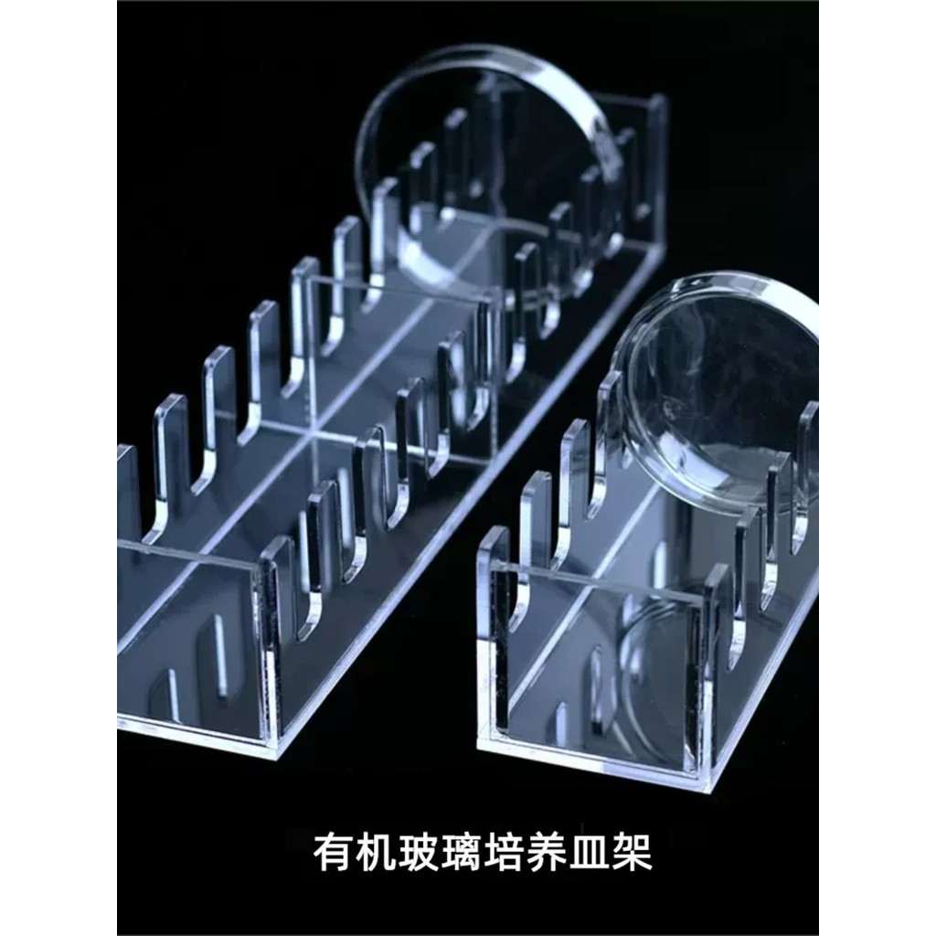 Acrylic/plexiglass Petri dish Rack Place 60/90/100/120/150mm Glass ...