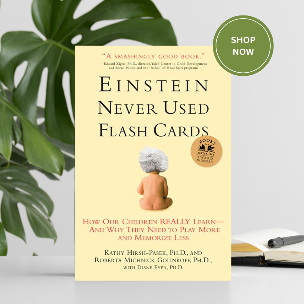 Einstein Never Used Flash Cards: How Our Children Really Learn--and Why ...