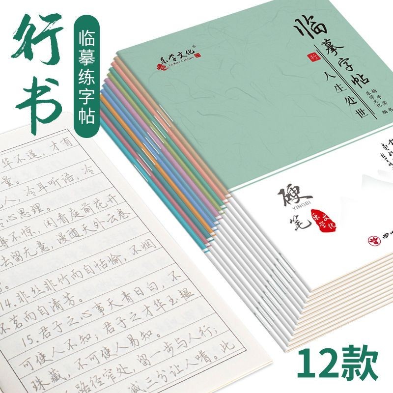 Notebook written with a fountain pen, calligraphy practice book with a ...