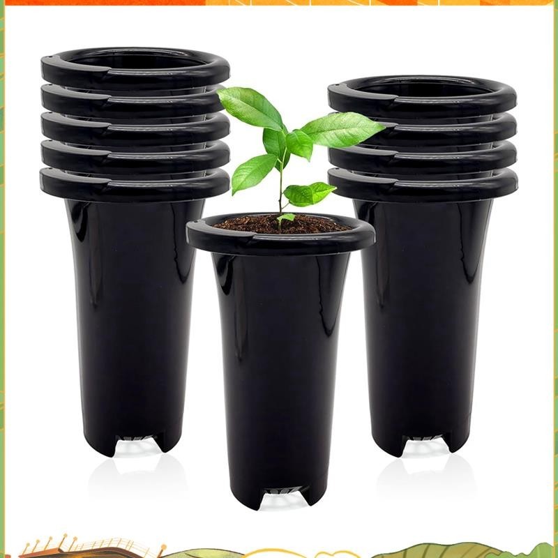 Nursery 10Pcs Thick Plastic Stable Tree Reusable Tall Seedling Plant ...