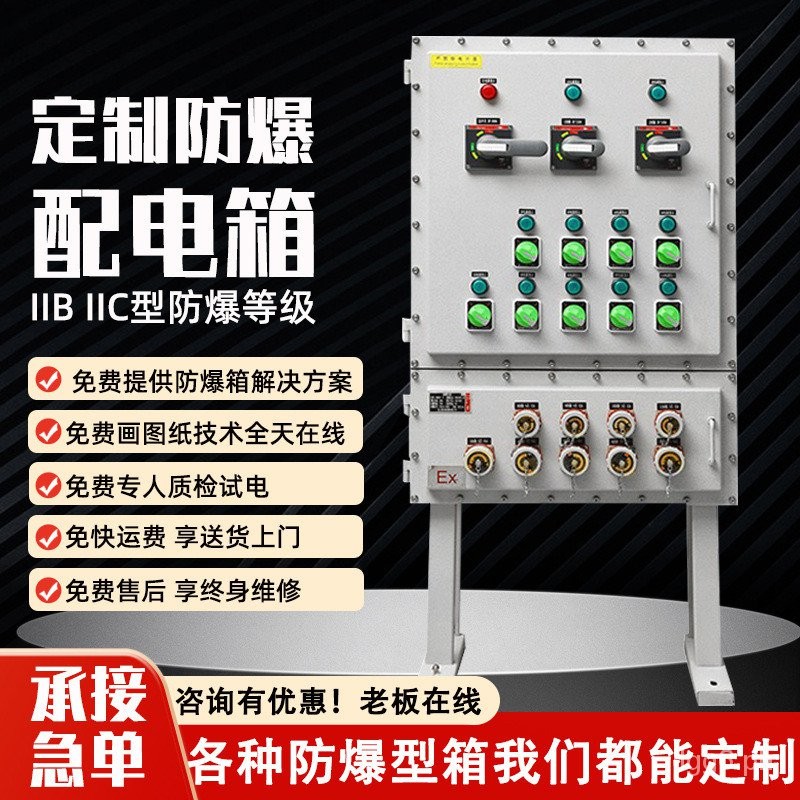 Explosion-Proof Distribution Cabinet Control Cabinet Power Lighting ...
