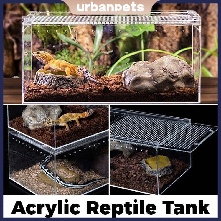 Acrylic Reptile Breeding Box Gecko Lizard Spider Horned Frog Snake ...