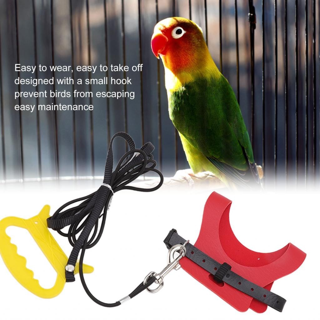 Jingcc Bird Harness Leash Elastic Portable Traction Rope With Hook For ...