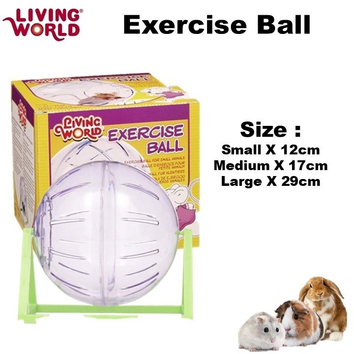 Living World Exercise Ball Small/Medium/Large (Small Animal/Hamster