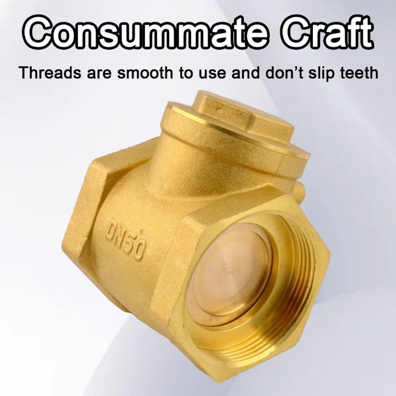 PPR Brass Union Swing Valve Check Valve Spring Vertical Pump Valves ...