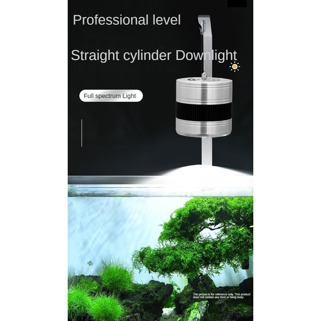 Aquatic Plant Lamp Burst Algae Goldfish Lanshou Moss Lamp led Full