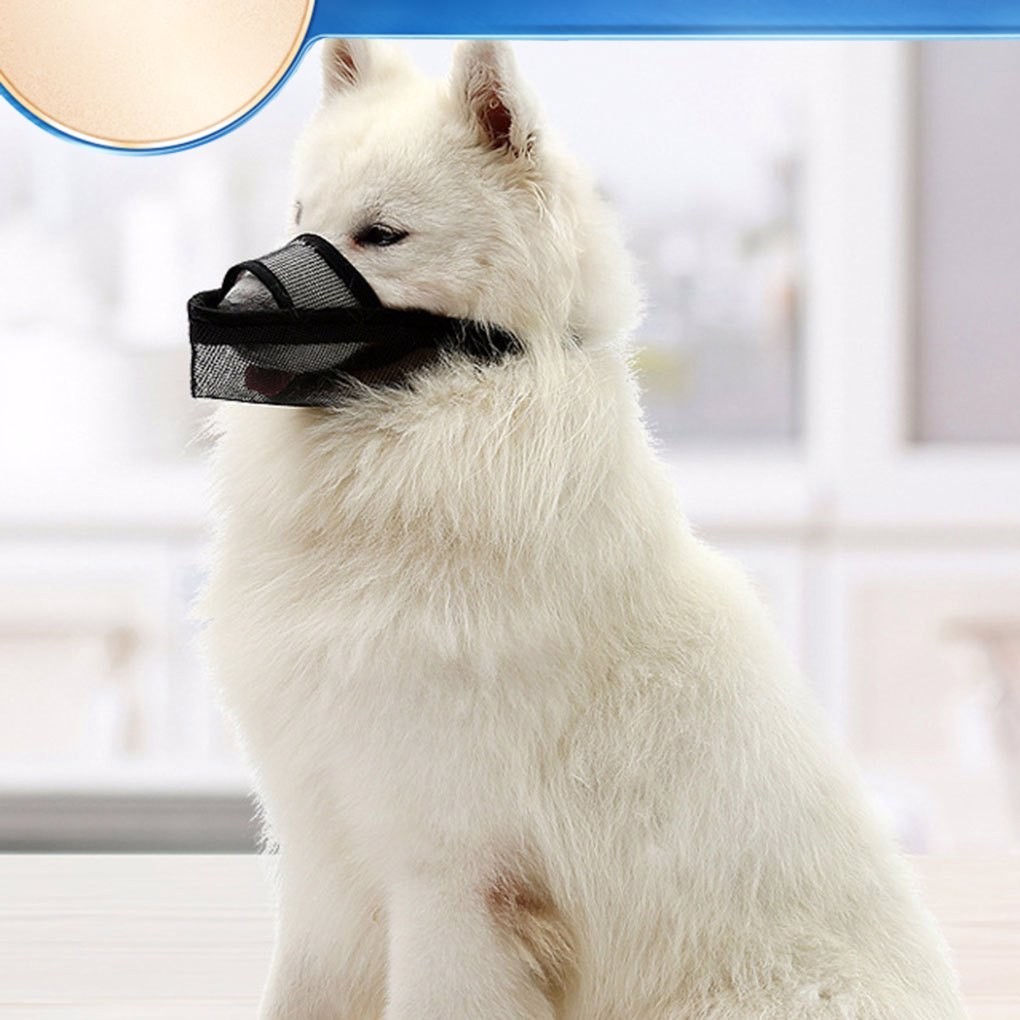 Comfortable Anti Stripping Dog Mask For Ensuring Dog S Health Which Is ...