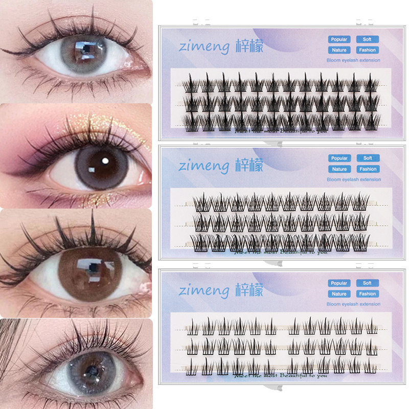 Eye Beauty Make Up 3D Cluster Eyelash Set Extension Fake Eyelash Strip ...