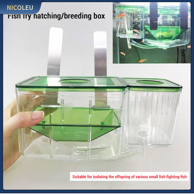 tik Fish Breeder Box, Fish Isolation Breeding Box, Aquarium Fish Tank ...