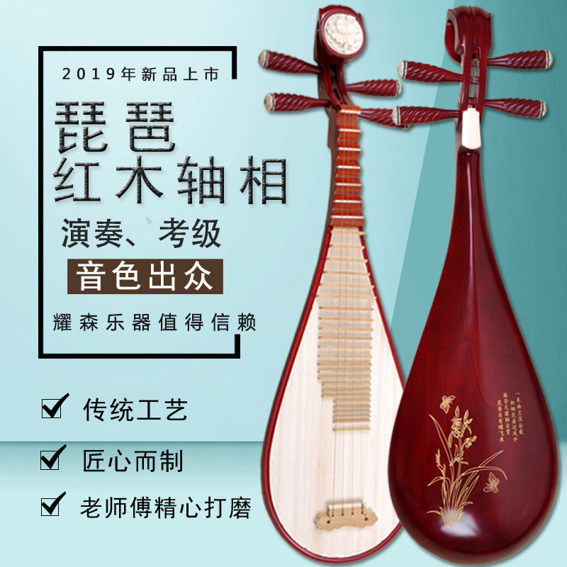 PIPA Musical Instrument Adult Beginner Practice Children Pipa Hardwood ...