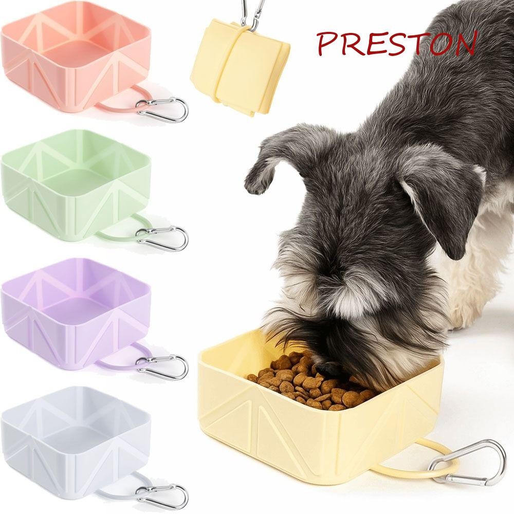 Beautiful view of Portable Pet Feeder For Dogs