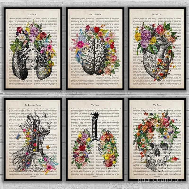 Vintage Anatomy Floral Heart Brain Wall Art Canvas Painting Retro ...