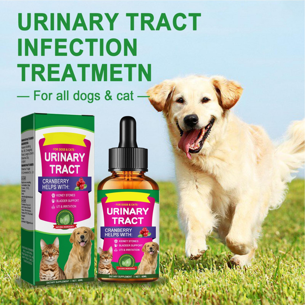 Photo inspiration: Gallery Detail: Cat Dog Urinary Tract Infection Treatment Cranberry Natural Urinary