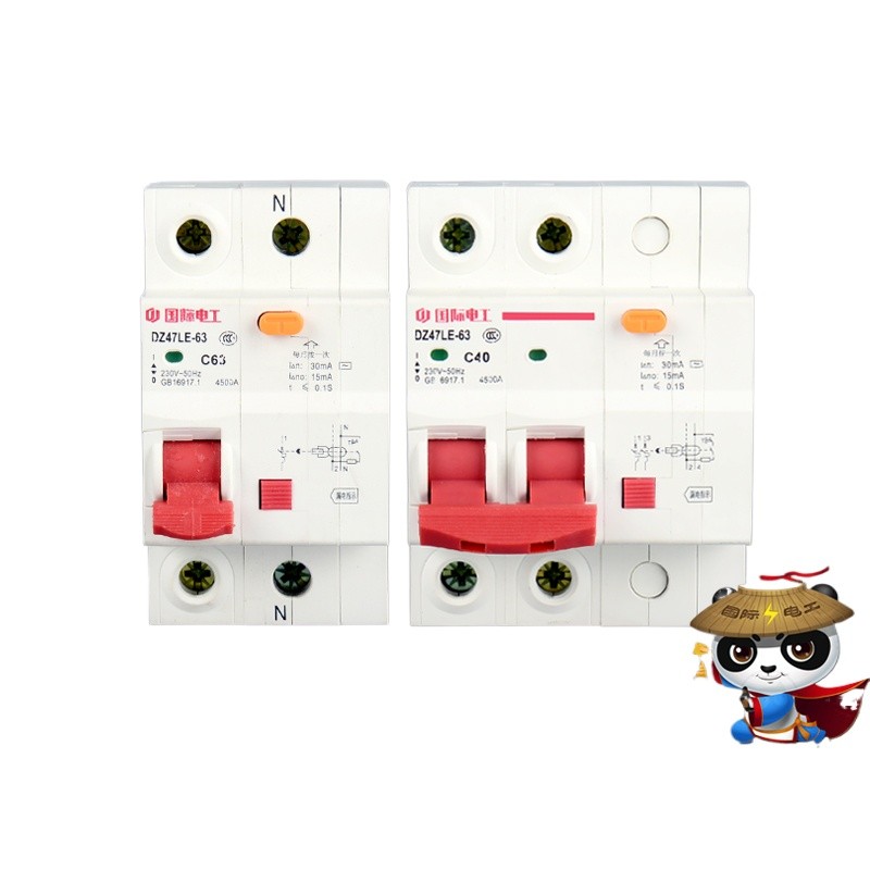 Small circuit breaker leakage electric shock protector double P 1P