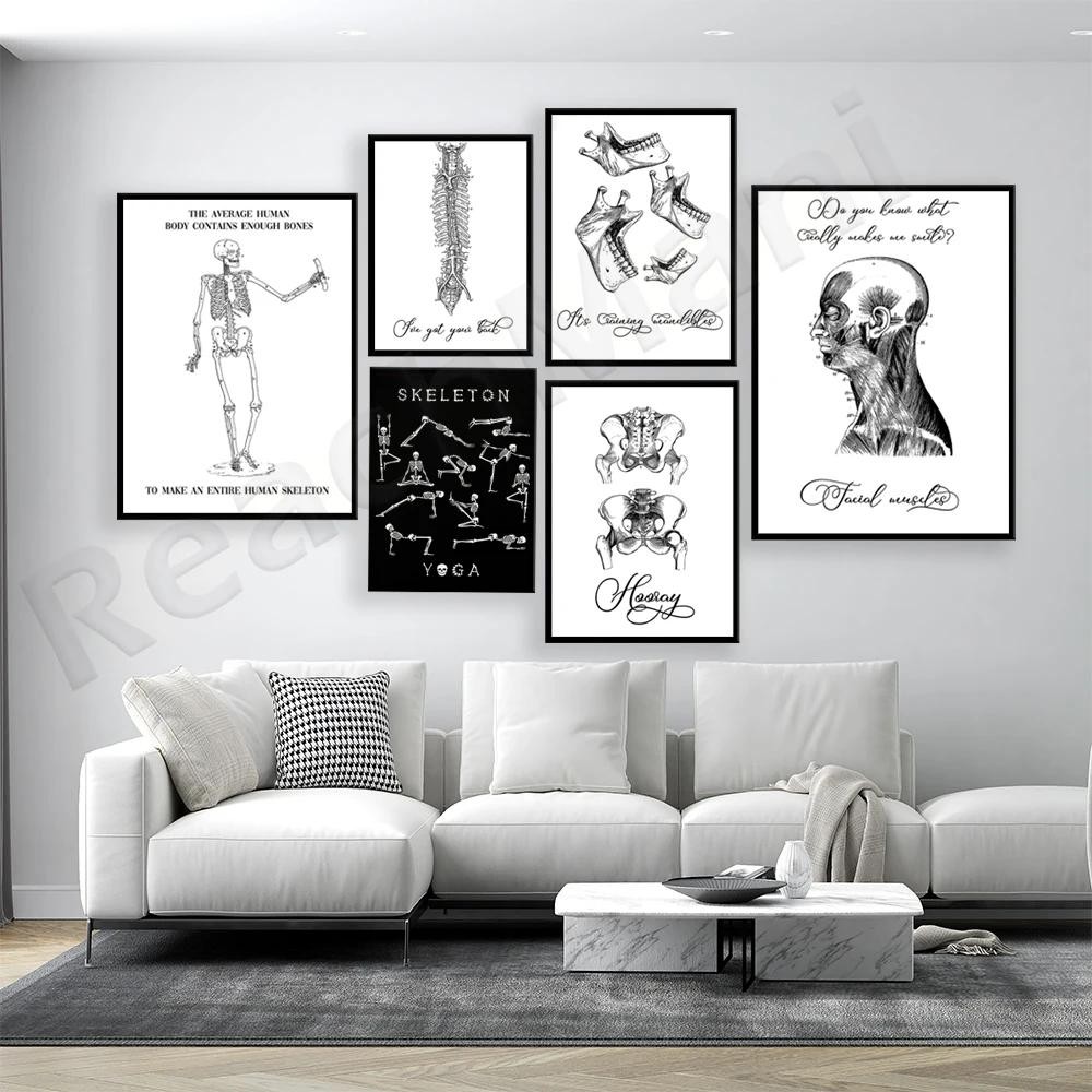Anatomical Muscle System Wall Art Canvas Medical Education Poster for ...