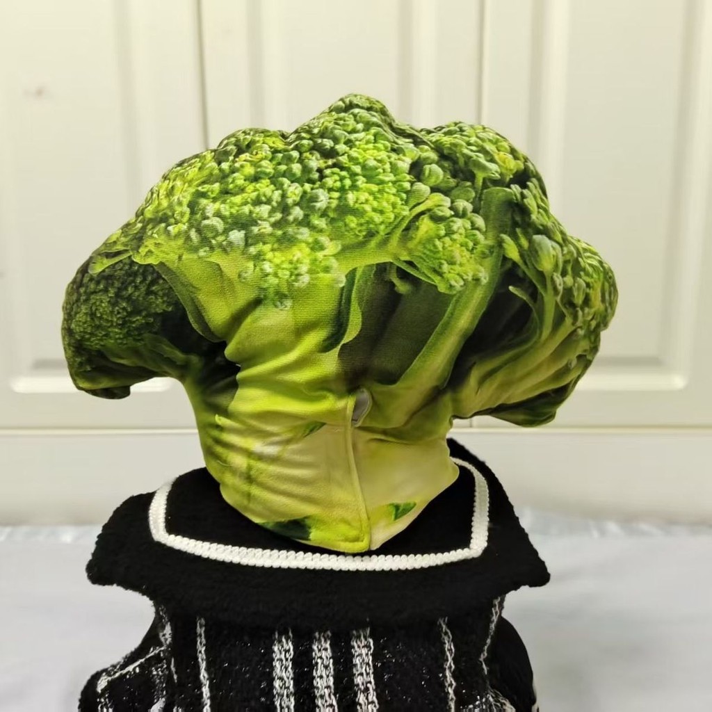 Broccoli Costume for Kids Nutrition Month Head Dress Vegetable Cap ...