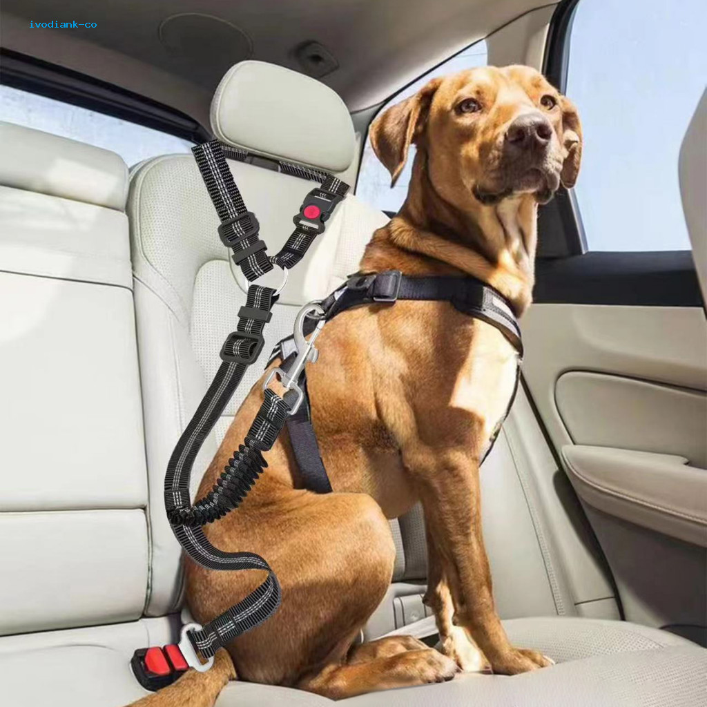 ivodiank Dog Travel Restraint Dog Seat Belt Adjustable Dog Car Seat Belt Harness with Elastic Bungee Buffer for Safety Secure to Headrest Nylon Leash Seatbelt for Southeast Buyers Shopee Philippines