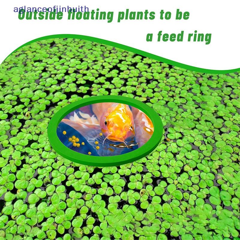 [aglanceofjinhui] 5/6/10Pcs Aquarium Floating Plant Rings Fish Feeding ...