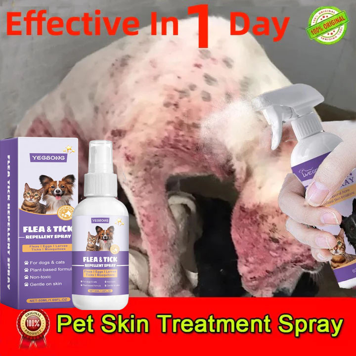 Pet Anti fungal Spray 50ml Dog Skin Disease Treatment Dog Allergies ...