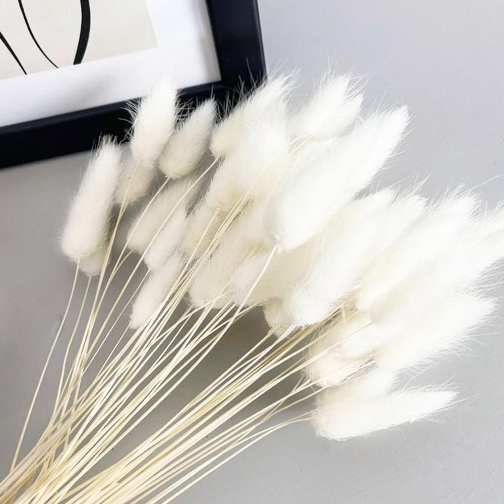 100PCS Dried Stem Bundle, Pampas Grass - Bunny Tail Grass - Reed Grass