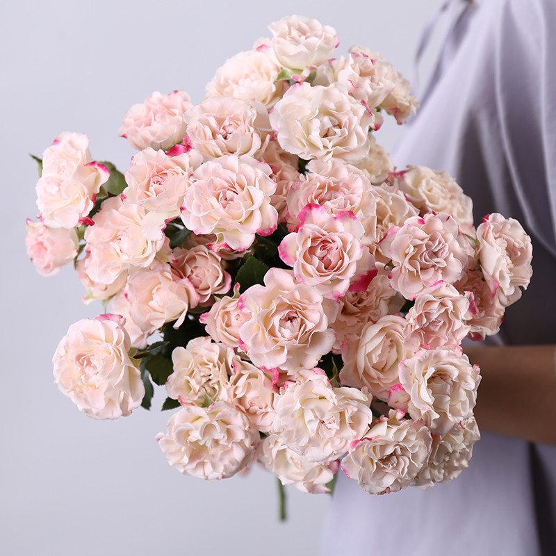 Multiple Heads Rose Flowers Fresh Flowers Yunnan Direct Delivery Home ...