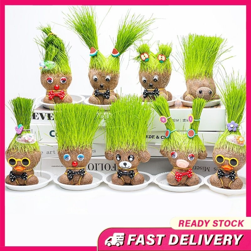 Grass Head Room Decor Children Growing Grass Doll Toys Indoor Office