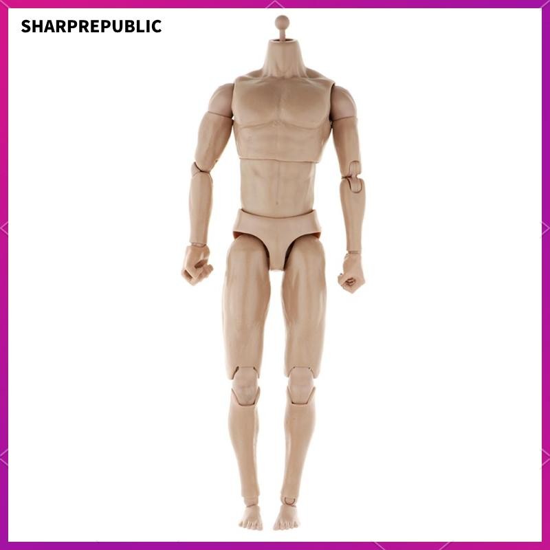 1:6 Scale Narrow Shoulder Action Figure Male Muscular Body Toys Doll ...